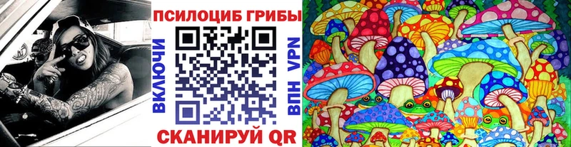 Псилоцибиновые грибы Magic Shrooms  купить   Галич 